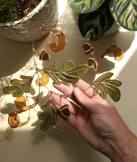 feuilles de chênes